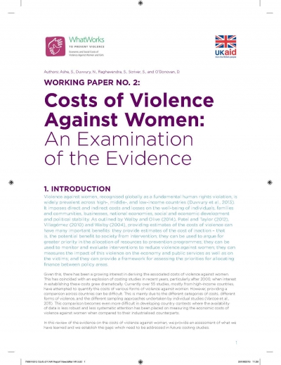 Working Paper No.2. Costs of Violence Against Women: An Examination of the Evidence